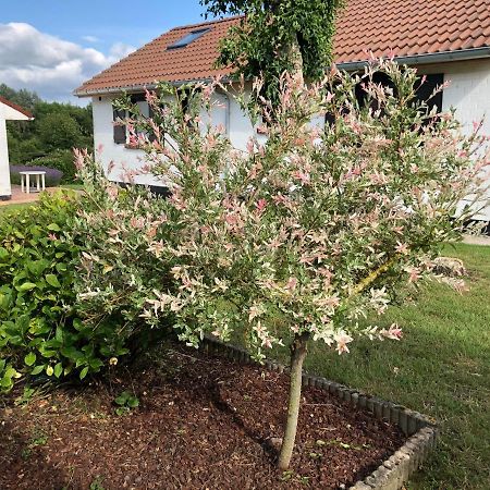 Mijn Kleinhof Villa Westouter Eksteriør bilde
