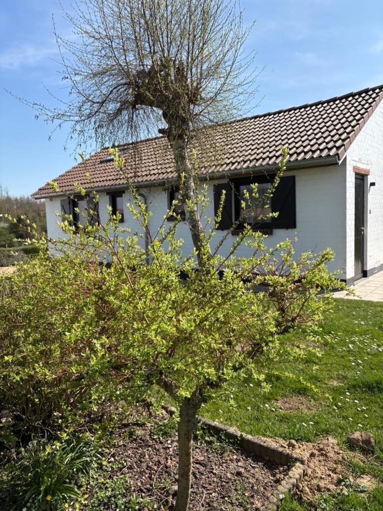 Mijn Kleinhof Villa Westouter Eksteriør bilde